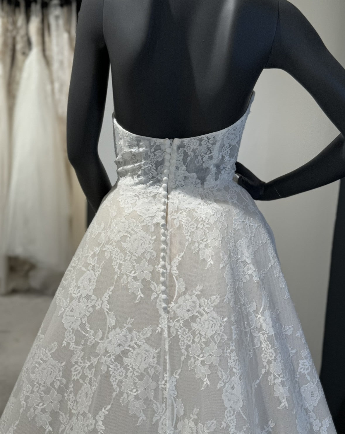 Pronovias Superba Gown