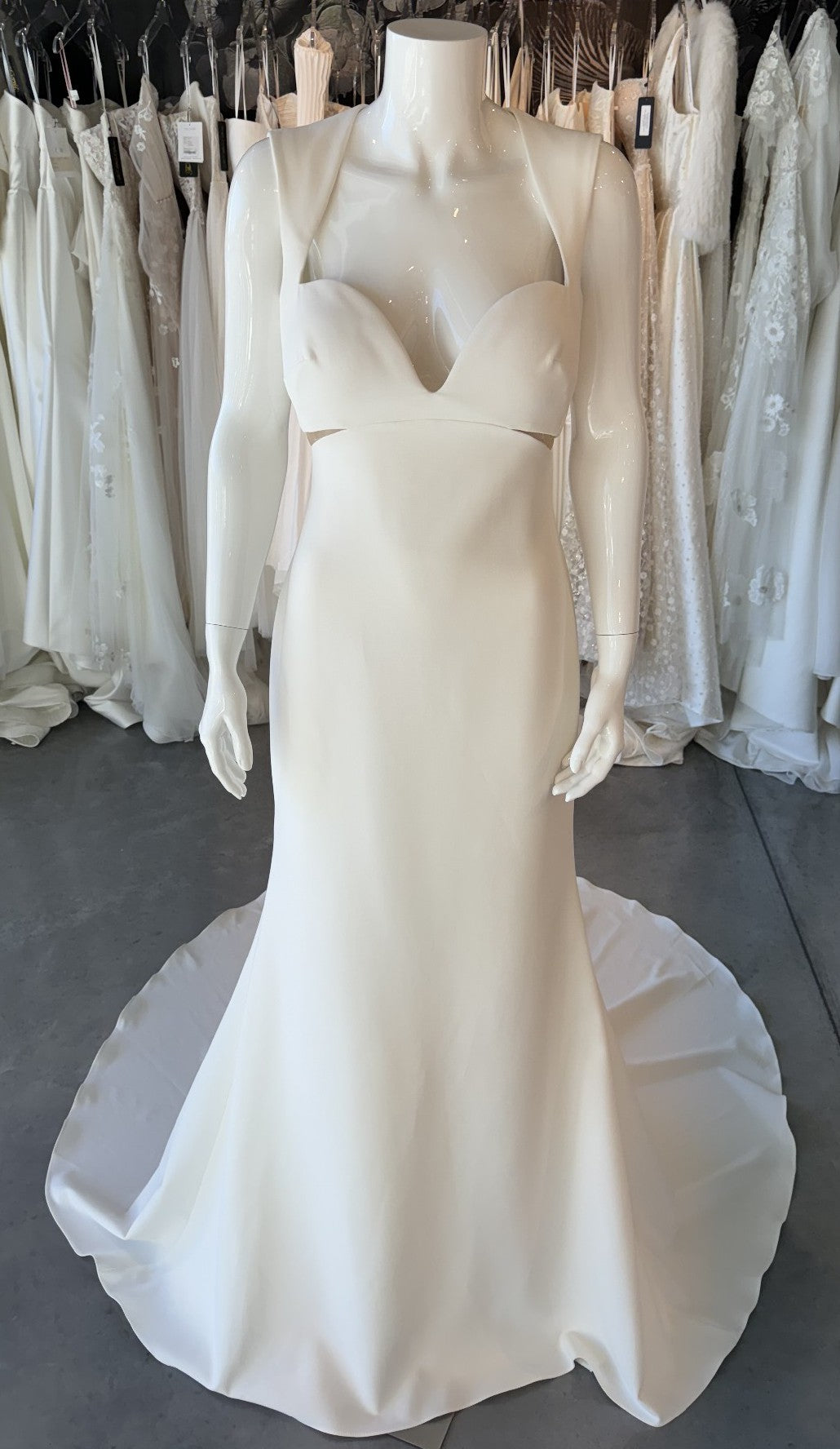 Pronovias Aman Wedding Gown