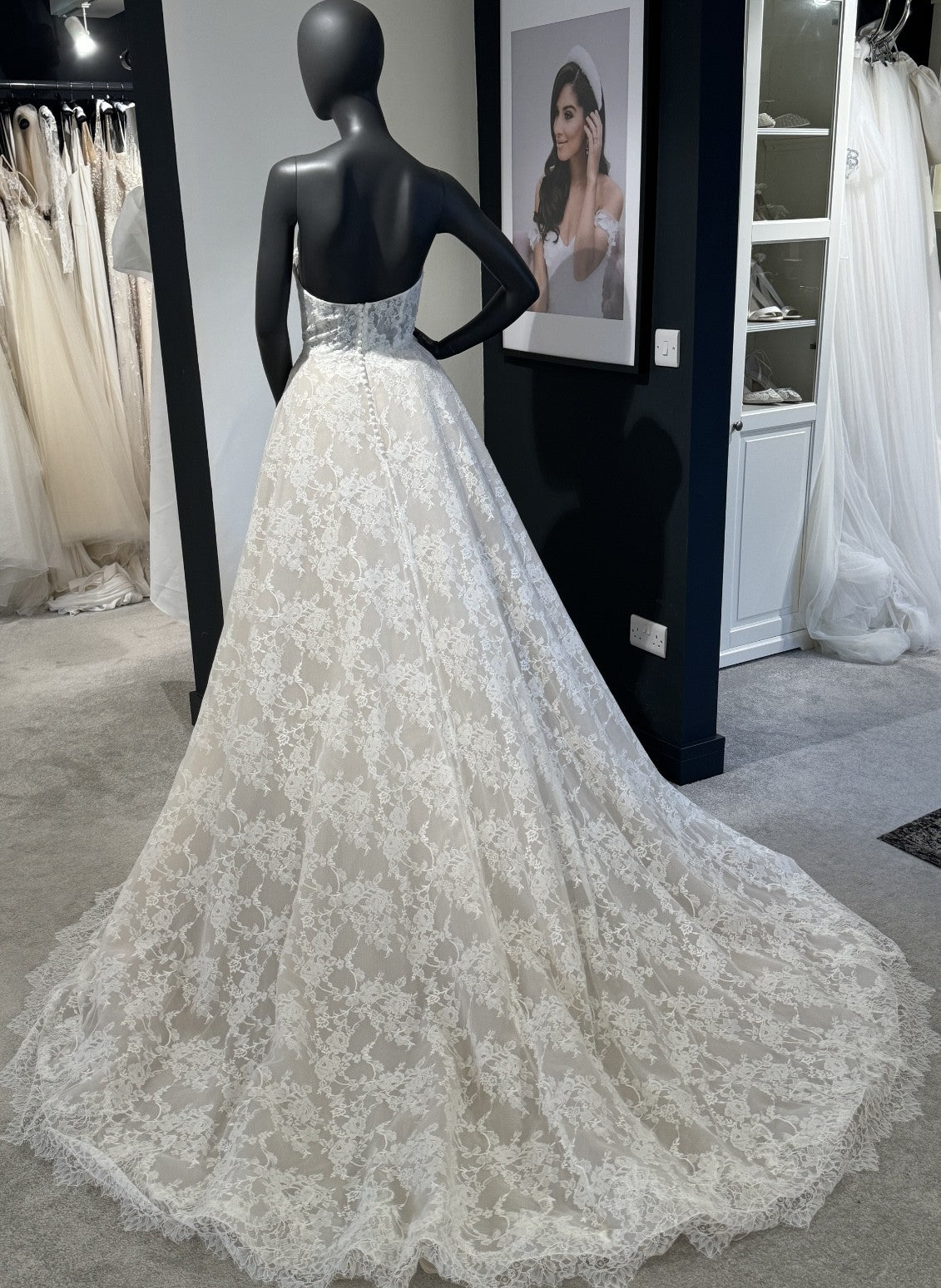 Pronovias Superba Gown