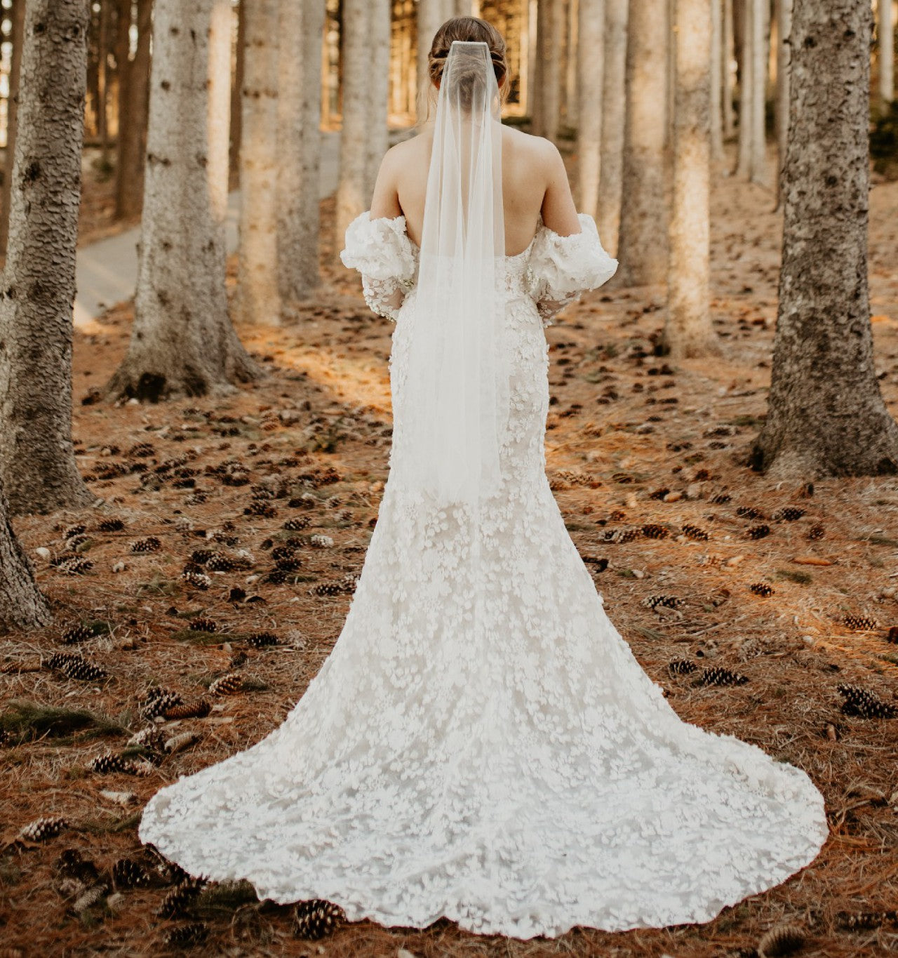 Willowby by Watters Cecilia Gown