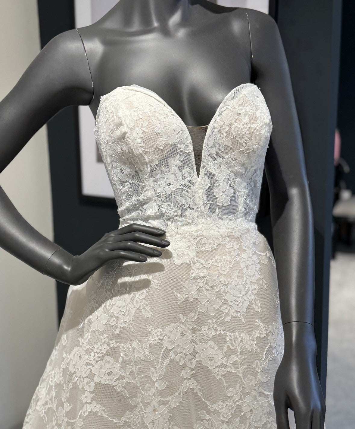 Pronovias Superba Gown