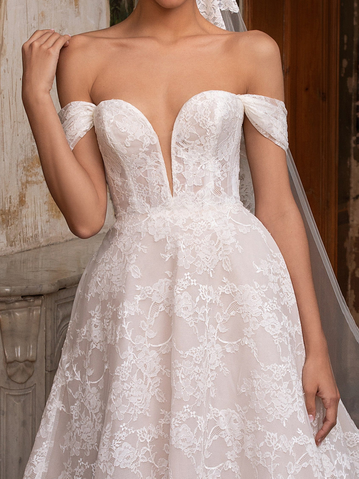 Pronovias Superba Gown